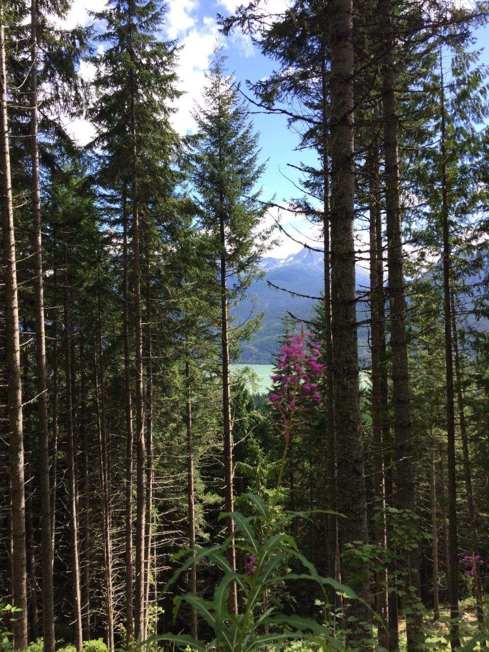 5 Simple Ways to Level up your Riding from Blue to Black trails