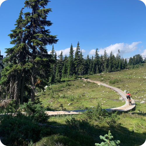 Top 5 Trails to tick off on your Whistler MTB Holiday